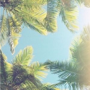 Meet your Posher, Vivian